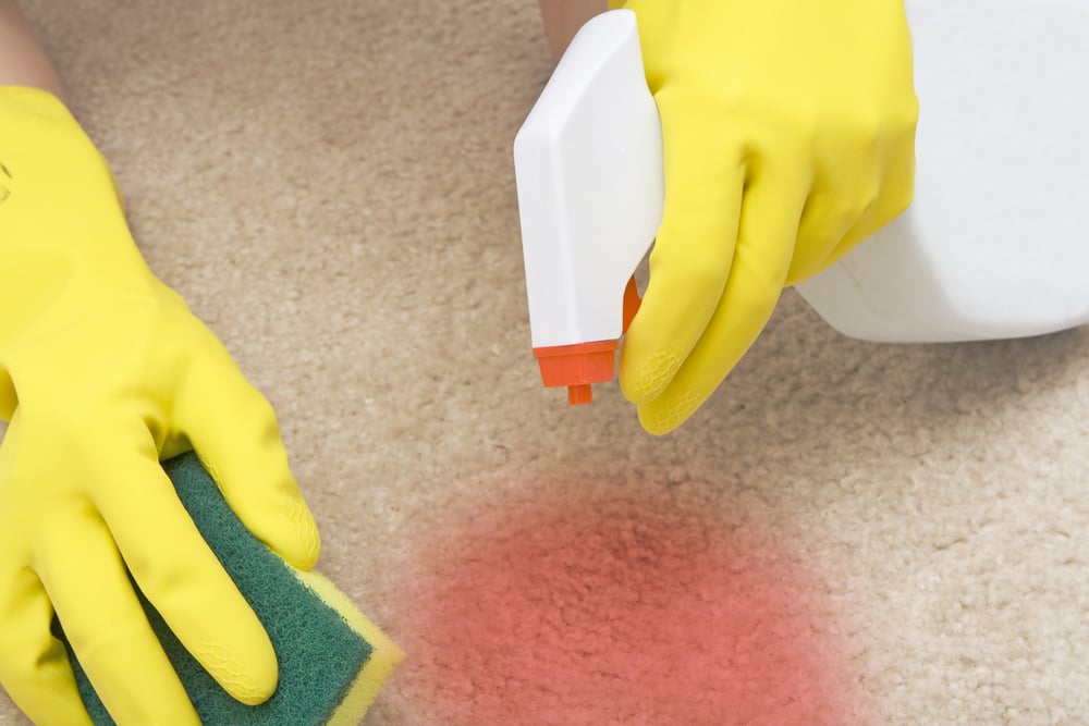 7 Of The Best And Easiest Homemade Carpet Stain Removers