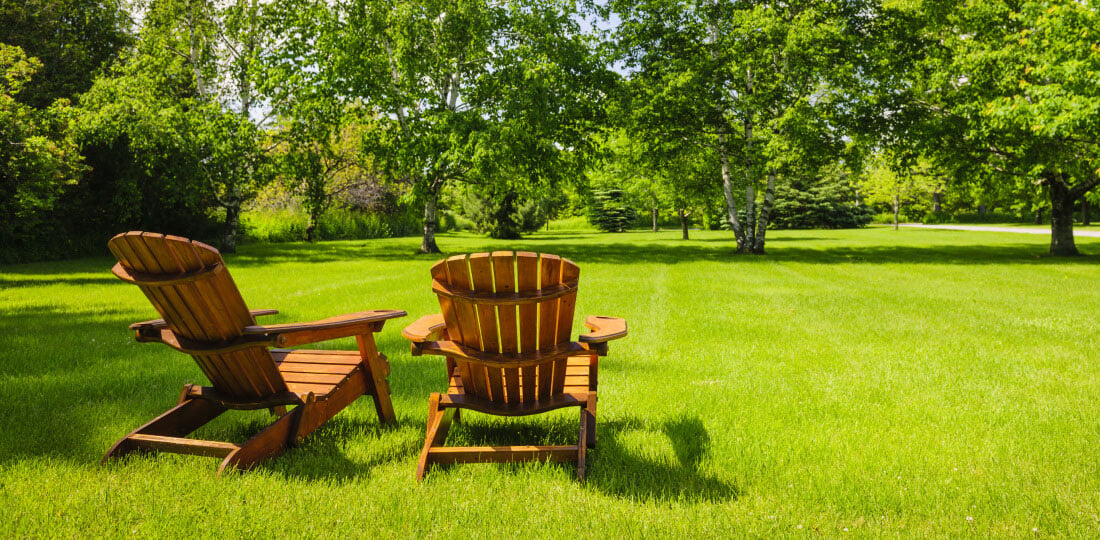 Two lawn chairs sitting in a sunny yard