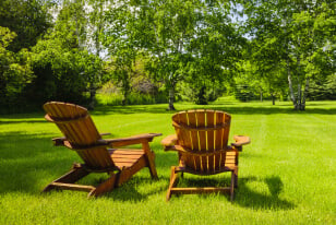 Getting Your Yard Ready for Summer
