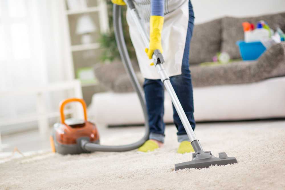 Spring Maintenance Carpet Cleaner